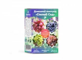 Домашний виноград Спелый Сад: всего 5 минут в день на уход!