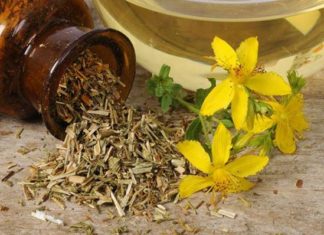 Как приготовить обезболивающее из зверобоя и мать-и‑мачехи?