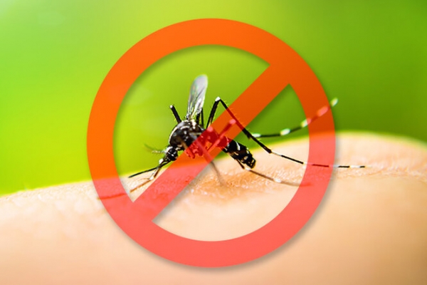 10 натуральных ароматов, которые не переносят комары