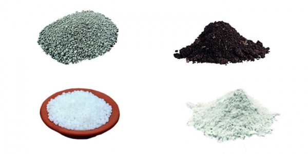 Форост Форост