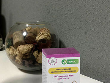 Форост Форост