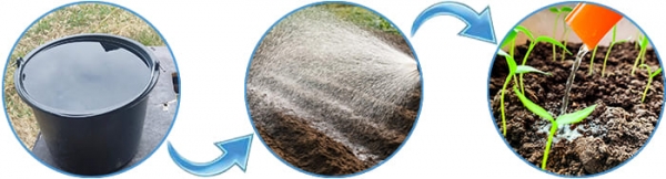 Форост Форост