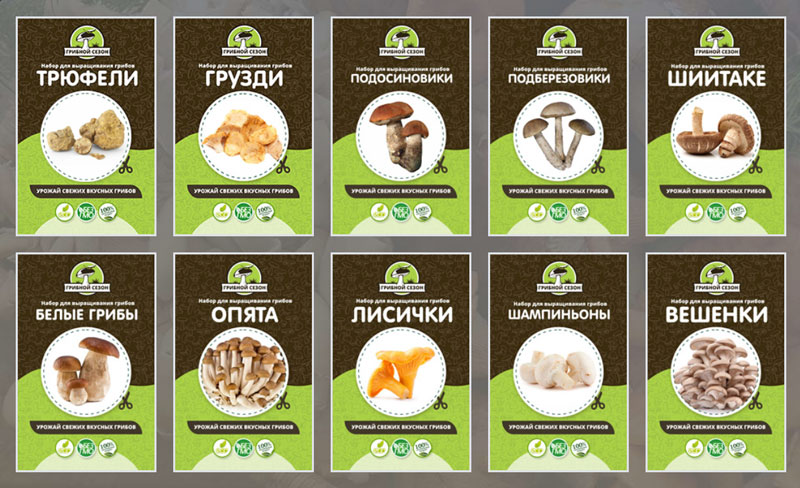 Типы грибов