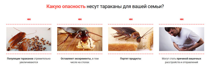 Опасность тараканов в доме
