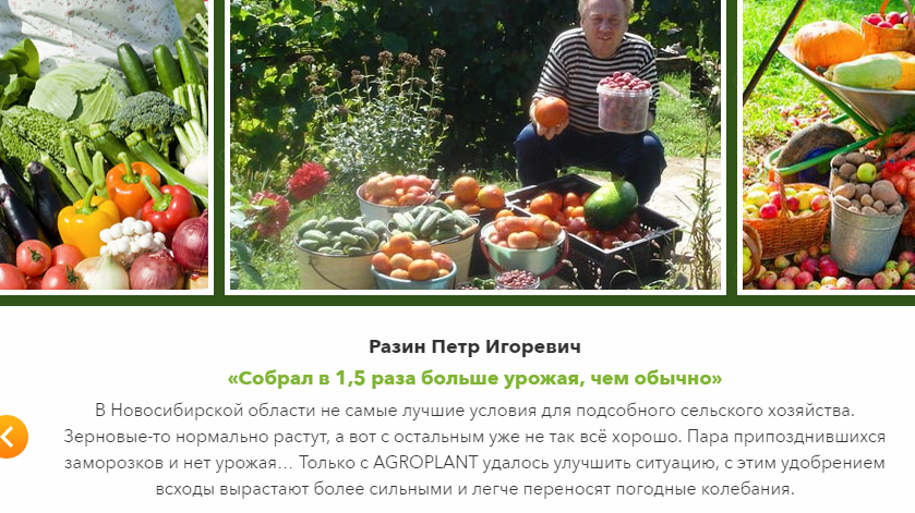 Agroplant отзывы покупателей