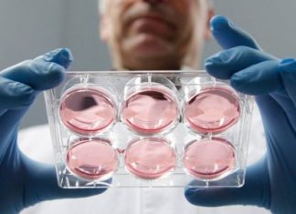 В США родители судятся с клиникой из-за перепутанной спермы