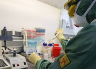 Можно ли заразиться новым коронавирусом повторно?