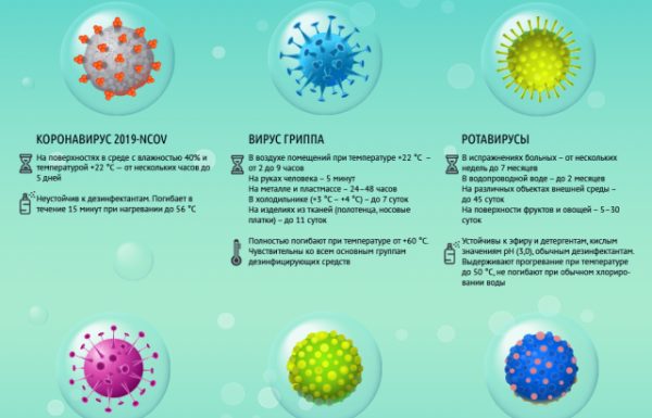 Сколько коронавирус и другие вирусы живут вне организма? Инфографика