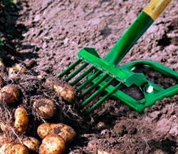 Принцип работы и применение лопата Урожай