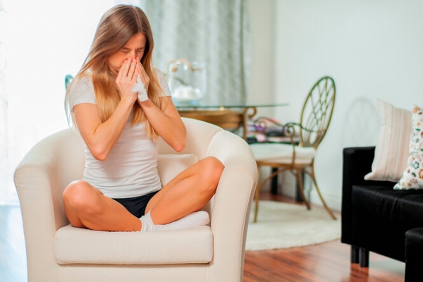 7 «домашних» аллергенов, о которых вы и подумать не могли