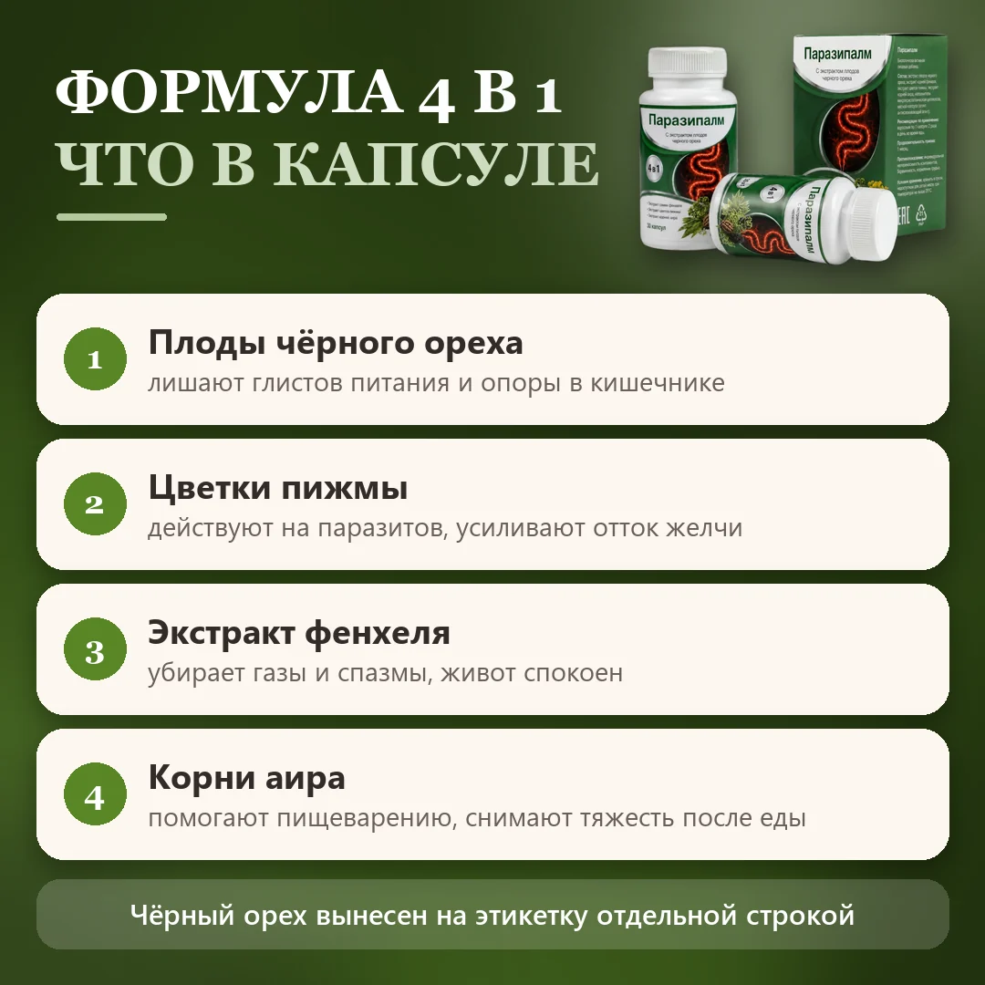 Состав Паразипалм: компоненты и их действие